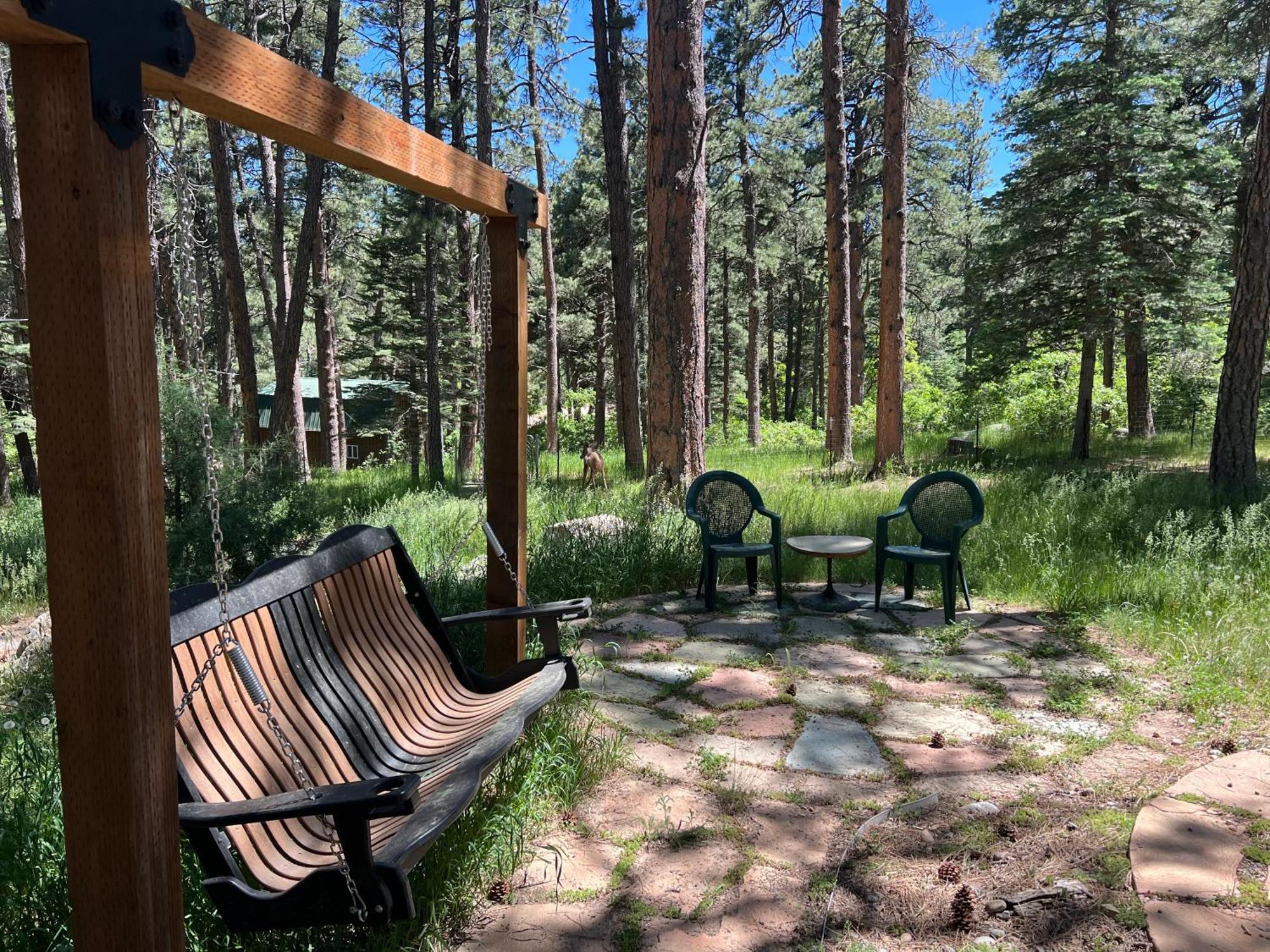 Cozy Cabin On The Creek Colorado City Exteriér fotografie