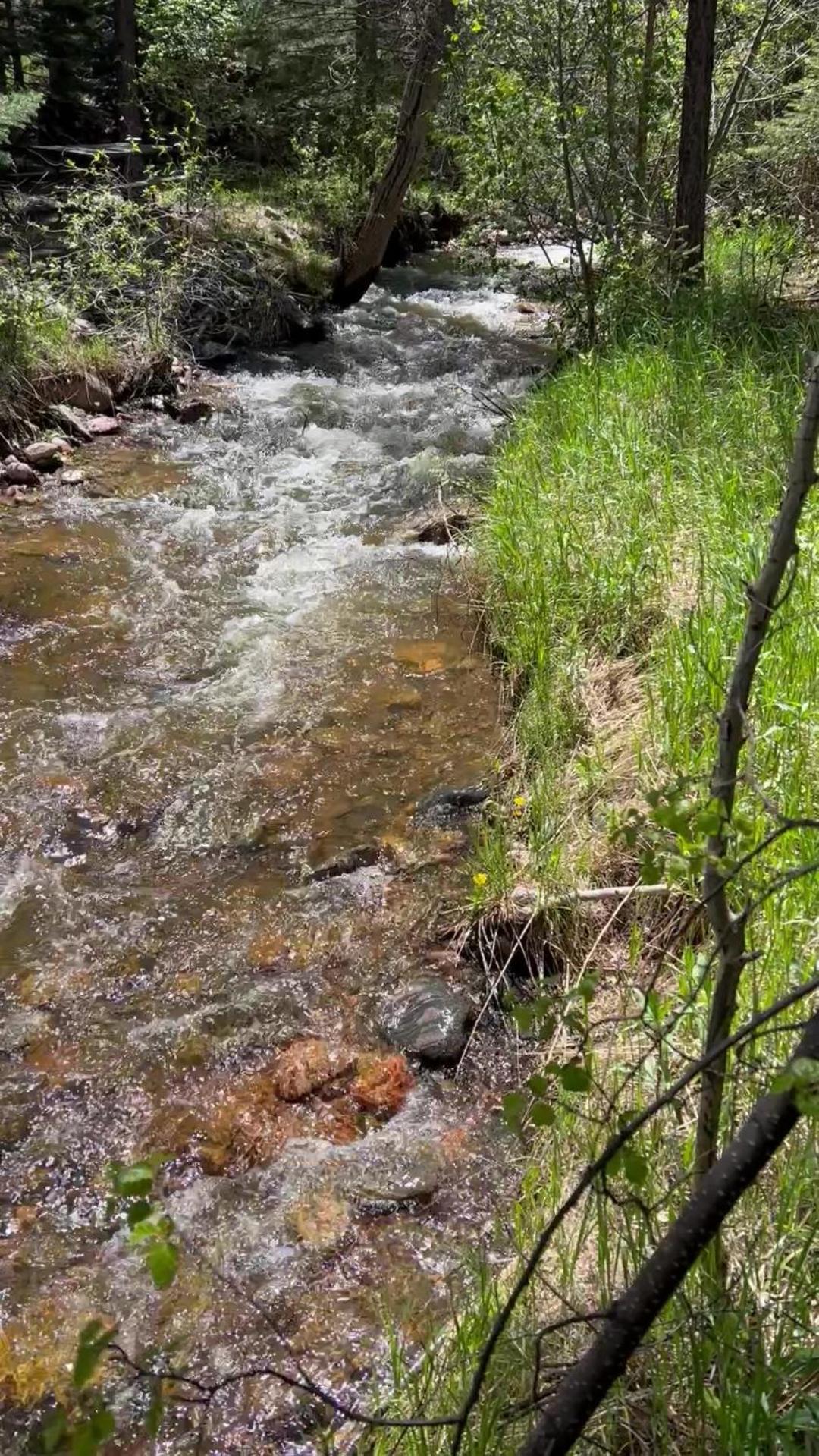 Cozy Cabin On The Creek Colorado City Exteriér fotografie